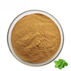 Polvo de Extracto de Menta Pura de Alta Calidad OEM ODM, Polvo de Menta de Grado Alimenticio Seco, Derivado Naturalmente de Hojas de Menta Cuidadosamente Seleccionadas - Product Image 6