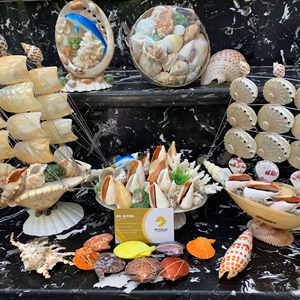 Natural Seashell Gift Craft <b>Abalone</b> <b>Shell</b> Conch Decorative Set Vietnam Wholesale Factory Supply Ocean <b>Shells</b> Hanging Boat - Product Image 1