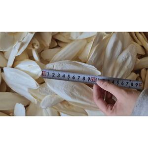 Natural Dried <b>Cuttlefish</b> Bone High Calcium Seafood Supplement Feed Additive Bulk Pack 99 Gold Data Vietnam Origin 24 Months - Product Image 4