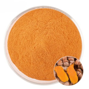 Extrait de curcumine 95% en poudre à mailles fines pour produits à base de plantes et applications nutritionnelles, poudre d'extrait de curcumine naturelle - Product Image 3