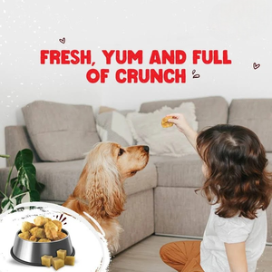 ขนมขบเคี้ยวสำหรับสุนัข ชีสจากจามรีหิมาลัยพรีเมียม อบกรอบเบา 100% จากธรรมชาติ ปลอดภัยต่อข้อต่อ รับผลิตแบบ OEM ODM - Product Image 3