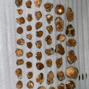 ลูกบอลทอมสันไนต์ธรรมชาติสวยงาม พร้อมแร่เฮอแลนไนต์ ชุดสะสมคริสตัลพรีเมียม สำหรับตกแต่ง โชว์ หรือเป็นของขวัญเพื่อการบำบัด - Product Image 1