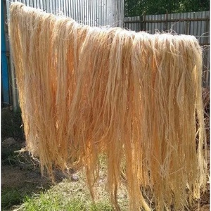 FIBRES DE BANANE LES PLUS RECHERCHEES Sûres, Propres et Écologiques 2026 Matière Végétale Pure Idéales pour la Fabrication du Papier et le Tissage Textile Prix Direct Usine - Product Image 6