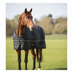 Manta para Caballo Negra, Ligera, Acolchada, para Doma, con Herrajes de Acero Inoxidable, Acabado Liso, Cierres Ajustables en el Pecho - Product Image 3