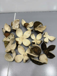 Écorces d'orange séchées en gros, agrumes naturels pour garniture de boissons, thé, pâtisserie, fournisseur en vrac d'écailles d'orange déshydratées, exportation - Product Image 6