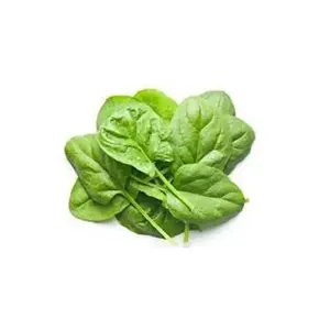 Polvo de Espinaca Secado por Aspersión - Polvo Verde Rico en Hierro y Calcio, Alto en Proteínas, Nombre Científico Spinacia Oleracea, para Smoothies/Batidos - Product Image 5