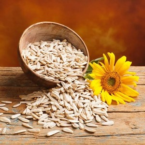 Graines de tournesol séchées crues de qualité supérieure Golden Harvest Organic, provenance Mongolie intérieure, sacs PP/papier 20/25 kg, collation saine quotidienne - Product Image 3