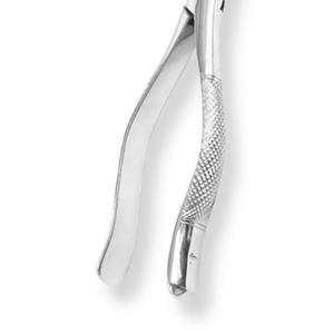 Pinzas de Extracción Dental para Incisivos y Caninos 20-206, Acero Quirúrgico Inoxidable, Instrumento Dental Manual de Precisión, Certificado CE - Product Image 6