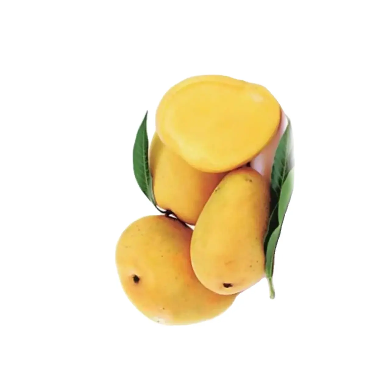 हरे, पीले ताजा आमों थोक ताजा mangos ताजा सब्जियों के लिए बिक्री