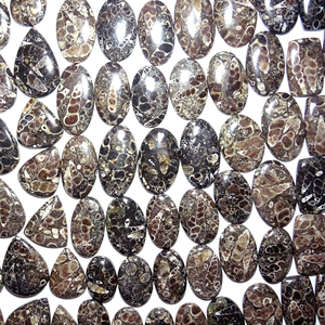 Piedra Preciosa de Jaspe Turritella de Rajasthan, Forma y Tamaño Personalizables, Suelta para Joyería, Sin Tratar - Product Image 3