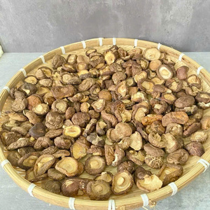 Chips de Champiñones Shiitake Crujientes con Certificación Halal, Fritos a Baja Temperatura, Snack a Granel, Fruta Seca, Vegetales Secos, Suministro a Granel - Product Image 1