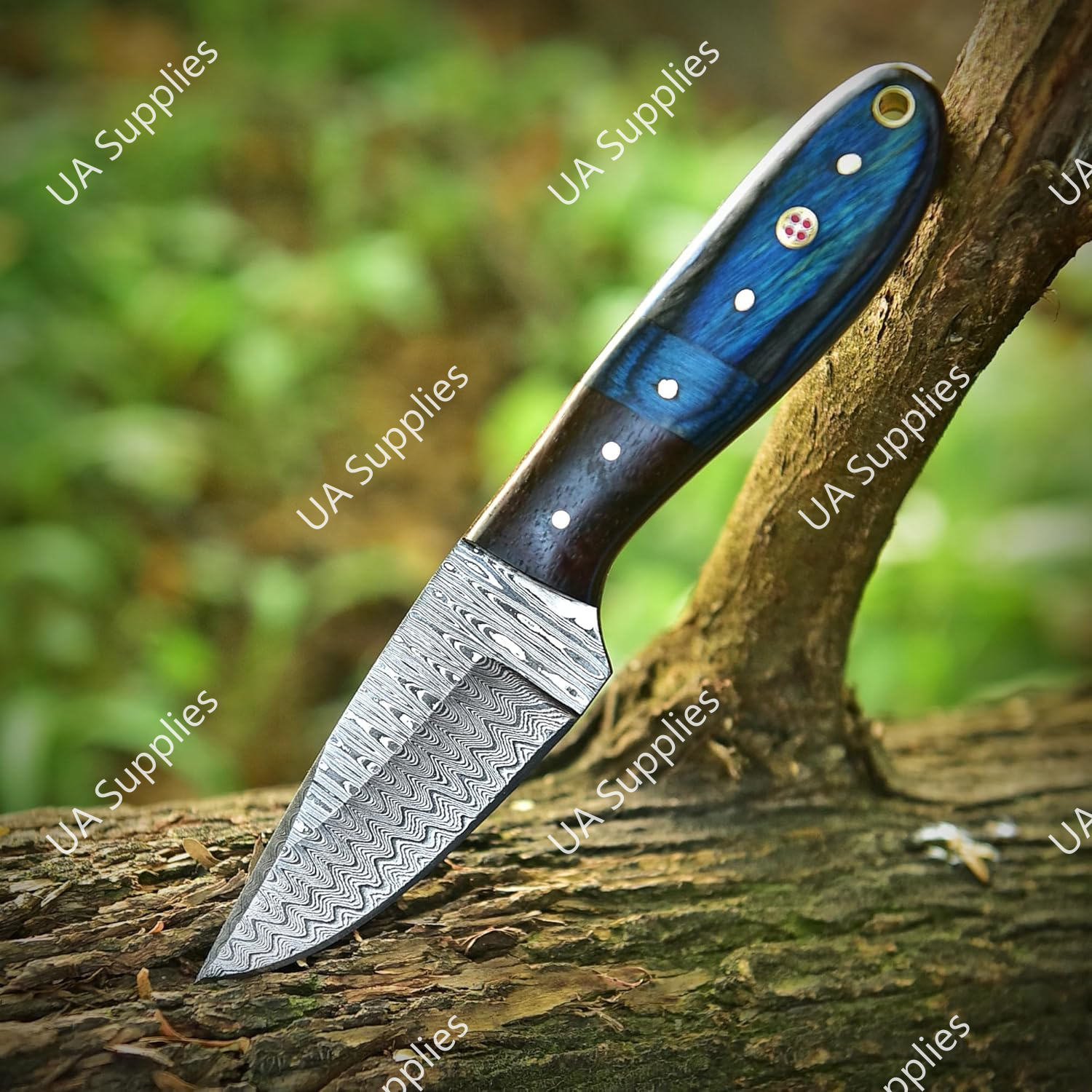 Damascus & Blue Wood