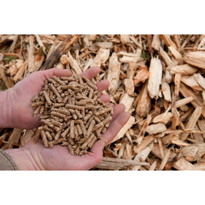 Proveedor Confiable de Pellets de Madera que Ofrece Calidad Consistente, Precios Competitivos y Servicios de Exportación a Todo el Mundo - Product Image 6