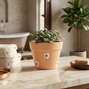 Maceta de Terracota Personalizada Naturix de 1-7 Pulgadas, Mini Maceta Decorativa para Suculentas, Plantas de Interior y Exterior, Bajo MOQ, Aplicación en Jardín - Product Image 6