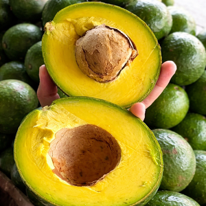 AGUACATES Congelados de Alta Calidad Exportados de Vietnam, Gran Venta con Buen Precio en el Mercado/ Sra. ALINA - Product Image 2