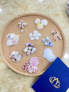 Coquillages naturels du Vietnam écologiques en gros pour la décoration intérieure côtière moderne et les fournitures d'artisanat DIY - Product Image 1