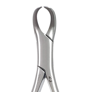 Pinzas de Extracción Dental # Pinzas de Extracción 151 de Acero Inoxidable para Dientes Bicuspide, Incisivo Inferior y Raíz Inferior - Product Image 2