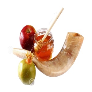 งานฝีมือในสต็อกสไตล์สัตว์ดิบฮอร์นฮอร์นธรรมชาติขัดเงาเปลือกหอยทะเล - Product Image 3