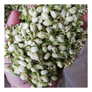 ดอกมะลิแห้งคัดสรรอย่างดี ใช้สำหรับตกแต่งชานมไข่มุกและบรรจุในซอง วัตถุดิบดอกไม้ที่มีความชื้นต่ำ - Product Image 5