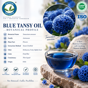 Aceite Esencial de Tansy Azul 1KG, Suministro a Granel para Exportación, Aceite Botánico Puro de Tanacetum Annuum - Para el Cuidado del Cabello y Formulaciones de Cuidado Personal - Product Image 2