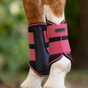 Bottes de protection durables pour les jambes de cheval, protections de tendon en néoprène pour la médecine sportive, équipement d'équitation - Product Image 3