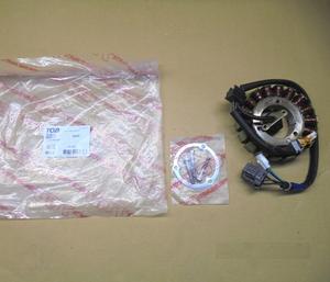 Estator Original TGB Comp. Rotor Magnético para ATV Blade Target 400-550, 924415A 924415E - Product Image 1