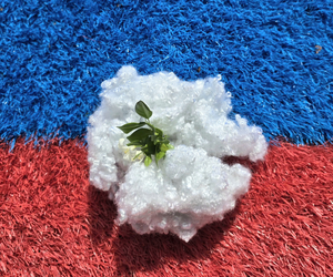 Fibre creuse conjuguée non siliconée HCS 7Dx32mm 100% polyester, antistatique, recyclable, matériau de rembourrage pour filature - Product Image 4