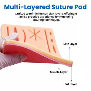 Kit de Suture Chirurgical Pentax en Acier Inoxydable, Coussinet en Silicone, pour Étudiants en Médecine, Infirmières et Professionnels Chirurgicaux - Vente Chaude - Product Image 2