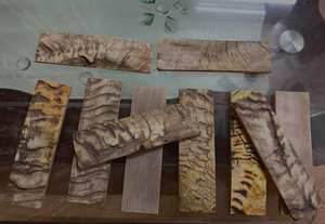 Écailles de corne de bélier naturelles : Matériel pour manche de couteau, 5 pièces - Product Image 3