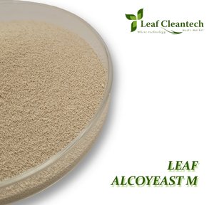 Levure sèche active la plus vendue de la plus haute qualité pour fournisseur de mélasse de Bangalore, Karnataka, Inde - Product Image 2