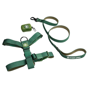 Conjunto de Arnés para Perro Sin Tirones Comfort Control Snow Cone con Correa a Juego y Clip Frontal Ajustable, Set de Entrenamiento para Paseos Diarios - Product Image 6