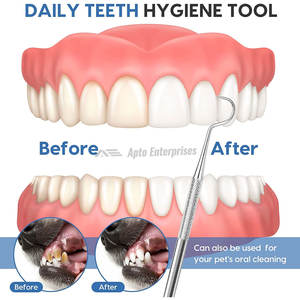 Professional Manual Dental Tartar Scraper 100% Stainless Steel Double-Sided Hook Angled Pick Tool CE Certified for Teeth Plaque - Product Image 4