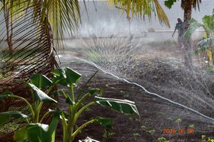 Manguera de Riego Resistente a los Rayos UV de 40 mm, Manguera Plana Resistente a Químicos para Uso Agrícola a Largo Plazo, Rollo de 100 Metros - Product Image 2