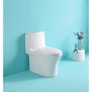 1.1/1.60 GPF doppio filo Gloss wc bianco acqua-risparmio allungata altezza Comfort montato pavimento morbido chiusura sedile 1000 - Product Image 1