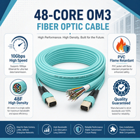 Câble Trunk Intérieur 48 Fibres OM3-300 PVC pour Centre de Données et Câblage de Noc LAN