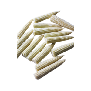 Maíz Bebé Congelado de Vietnam, Vegetal Natural para Cocinas Comerciales, Frituras, Sopas, Ensaladas, Hot Pots, Catering y Venta al por Menor - Product Image 1