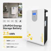 Batería de Litio Solar de 2.5kWh LiFePO4 para Hogar, ESS con Más de 6000 Ciclos, con CAN, LCD y BMS para Almacenamiento de Energía Residencial