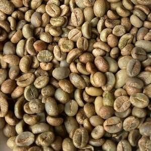 New Harvest Green <b>Bean</b> Coffee <b>Beans</b> Robusta Vietnam Origin Green Coffee <b>Beans</b> A 60kg A Plus Bulk <b>Bags</b> High Quality - Product Image 1