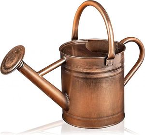 Arrosoir en acier durable pour l'arrosage des plantes, utilisation intérieure et extérieure, avec long bec, poignée ergonomique et finition résistante - Product Image 3