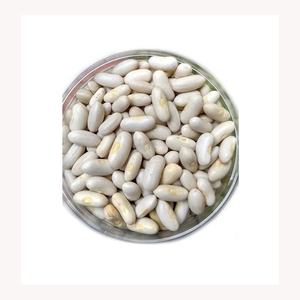 Haricots Blancs Séchés Biologiques en Gros, Prix d'Usine, Forme Allongée, Durée de Conservation de 2 Ans - Product Image 1