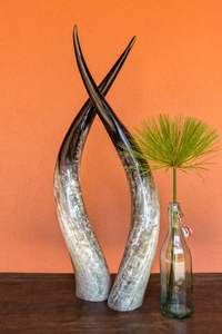 Décoration en corne de buffle, corne faite à la main - Product Image 5