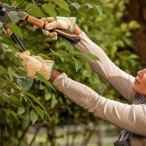 ถุงมือยางเคลือบยางสำหรับสุภาพสตรีถุงมือป้องกันน้ำและหนาม - Product Image 3