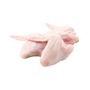 Puntas de ala de pollo de alta calidad preparadas para exportación con stock constante - Product Image 6