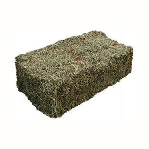 Heno de alfalfa/heno de timo con alto contenido proteico en venta - Product Image 3