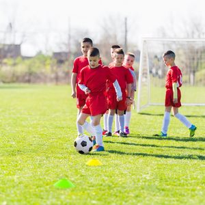 But de football 8 x 6 avec piquets de fixation au sol et cônes de football pour l'entraînement et la pratique - Product Image 2