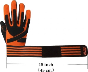 CLOVIX SPORTS Professional Gym Gloves with Wrist Support <b>Straps</b> Shock Absorbing Padded Fitness Gloves for Heavy Weightlifting - Product Image 4