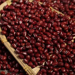 Haricots rouges exportés, légers et mouchetés, de haute qualité, à prix abordable - Product Image 1