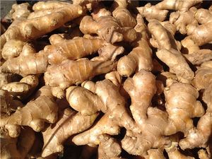 POUDRE DE GINGEMBRE PREMIUM DU VIETNAM, ÉPICE NATURELLE POUR LA CUISSON, LES BOISSONS À BASE DE PLANTES ET LE TRAITEMENT DES ALIMENTS |   Mme Lily Ngo - Product Image 5