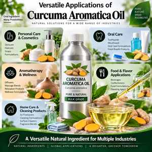 Cúrcuma Aromática Salisb, Fabricante, Proveedor, Mayorista, Exportador, Cúrcuma Silvestre, Materia Prima Botánica, Venta al por Mayor, India - Product Image 3