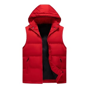 Chaleco con Capucha para Hombre, Casual, Sin Mangas, Acolchado, para Parejas, con Capucha Desmontable, Bolsillos con Cremallera, Impermeable, Frontal de Poliéster - Product Image 1